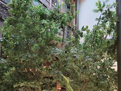 -狮王府淮扬菜(夫子庙老门东店)
