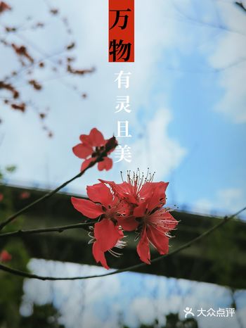 去妈妈家附近的健身公园️️偶然拍到的 这个公园是ZF