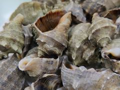 -聚德福海鲜家常菜(刘庄店)