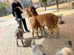 -南京金牛湖风景区