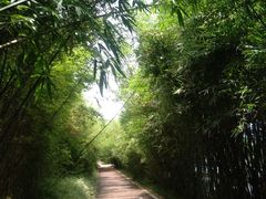-武汉园博园(武汉自然博物馆)