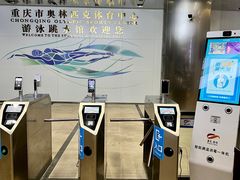 -重庆市奥林匹克体育中心-游泳跳水馆