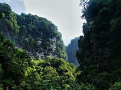 -碧峰峡风景区