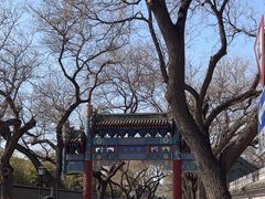 -北京国子监胡同