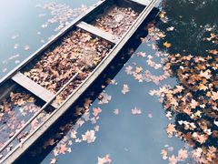 -河南省黄河迎宾馆