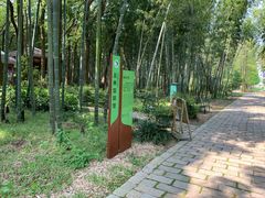 -同里国家湿地公园