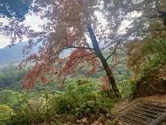 -广州市石门国家森林公园