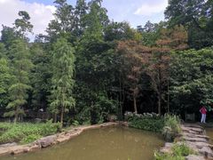 -云溪植物园