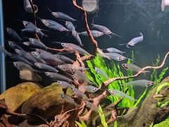 -太平洋海底世界