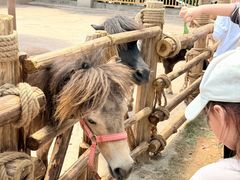-福州罗源湾海洋世界旅游区