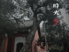 -长春观