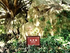 -宋井风景区