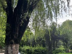 -庆蓉云·庆云面(双林店)