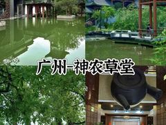 -广州神农草堂中医药博物馆