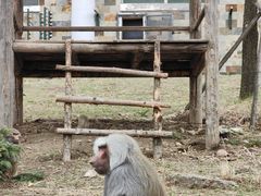 -哈尔滨北方森林动物园