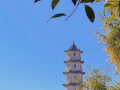 -江心屿景区
