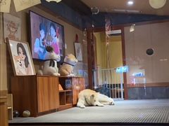 -大江户·温泉洗浴(浑南店)