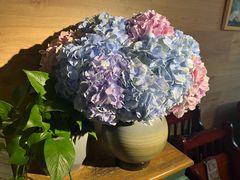 -春暖花开(西溪店)