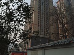 -金辉·天鹅湾