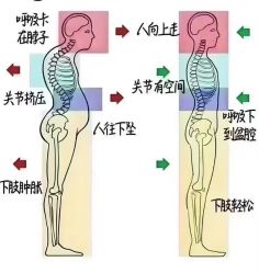 -水沐莲清瑜伽·普拉提