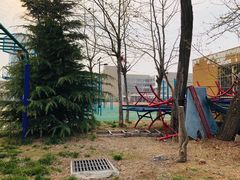 -山东省青岛第二中学(江西路分校)