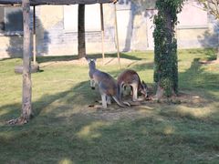 -南京金牛湖风景区