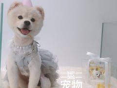 -BABYDOG宝贝狗宠物乐园(欧洲城店)