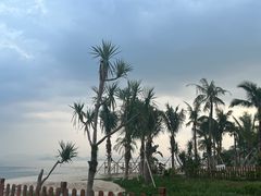 -玫瑰海岸文化旅游度假区