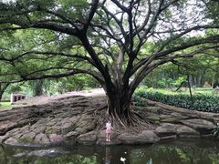 -晓港公园