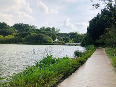 -南国桃园旅游度假区