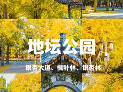 -颐和园