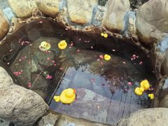 -北京益泉花园酒店