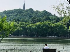 -西湖游船