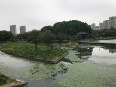 -蠡湖大桥公园
