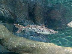 -上海海洋水族馆