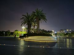 -宝安西湾红树林湿地公园