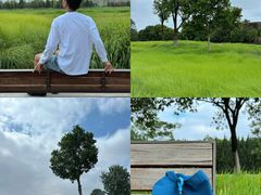 -汉长安城未央宫国家考古遗址公园