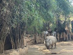 -长鹿旅游休博园