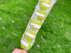 -栗子侠奶皮子糖葫芦(长宁店)