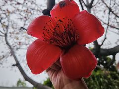 -南普陀寺