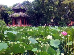 -房湖公园