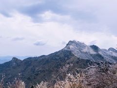 -秦岭风景区