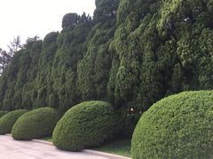 -宋庆龄陵园