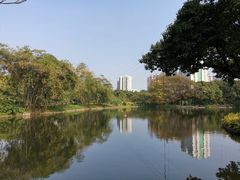 -晓港公园