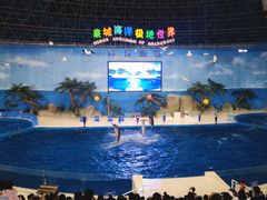 -泉城欧乐堡海洋极地世界