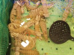 -初色海鲜自助(万丰路店)
