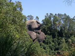 -火炉山森林公园