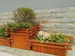 -辛玛王国游乐园