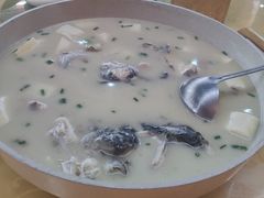 -金孔雀温泉旅游度假村