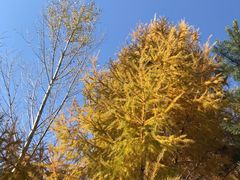 -中国建设银行哈尔滨培训中心